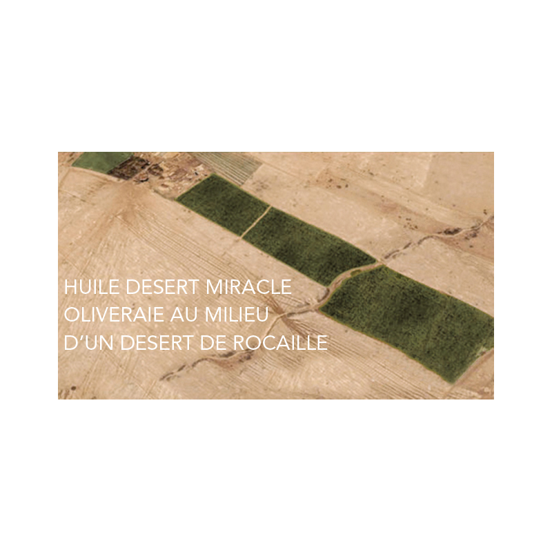 oliveraie Desert Miracle