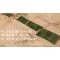 Oliveraie Desert Miracle