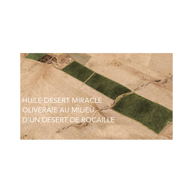 Oliveraie Desert Miracle