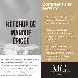 KETCHUP GASTRONOMIQUE DE MANGUE EPICEE TERGA PREMIUM - 100% NATUREL