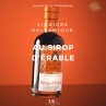 VINAIGRE BALSAMIQUE DE MODENE IGP ET SIROP D'ERABLE ACETAIA DI TERGA PREMIUM