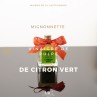 MIGNONNETTE VINAIGRE DE CITRON VERT PREMIUM TERGA