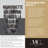 MIGNONNETTE BALSAMIQUE BIANCO A LA FLEUR DE SUREAU ACETAIA DI TERGA PREMIUM - 100% NATUREL