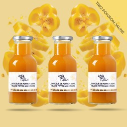 TRIO de KETCHUP DE POIVRON JAUNE TERGA PREMIUM - 100% NATUREL